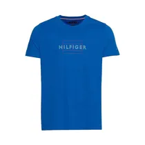 Camiseta Tommy Hilfiger MW0MW25671 C5K