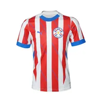 Remera Infantil Puma 773407AKV01 Paraguay Home Unisex
