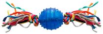 Brinquedo para Cachorros Azul 6.3CM - Pawise Fetch & Play 14541