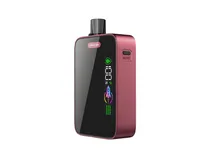 Vapesoul 15000 Puffs Love 66