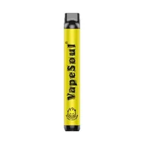 Pod Descartável Vapesoul Mango Ice 1000 Puffs