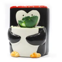 Vaso de Porcelana Natalino Pinguim c/Suculentas