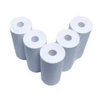 Papel Termico Rollo Sate A5-2 p/Mini Imp c/5 Unid