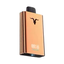 Pod Ignite V120 Pro Rose Gold Blueberry Rasp Lem