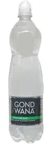 Gond Wana Agua c/Pico 1L
