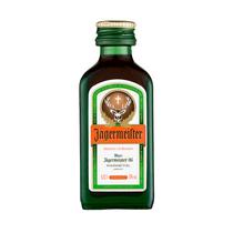 Jagermenster Miniatura 41ML