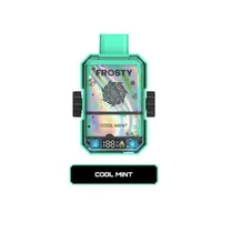 Frosty 12000 Spinner Cool Mint