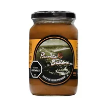 Dulce de Leche Premium Punta Ballena 440G
