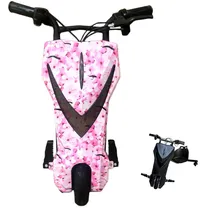 Triciclo Eletrico Foston GT4000 Flor Pesse