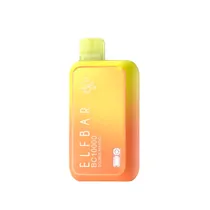 Vaper Descartável Elfbar BC 10000 Double Mango