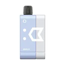 Pod Descartável Elfbar EW9000 Grape Ice