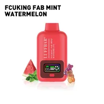 Pod Descartável Luffbar 40K Fcuking Fab Mint Watermelon 40.000 Puffs