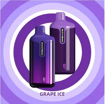 Maskking Axi 12000 Puffs Grape Ice