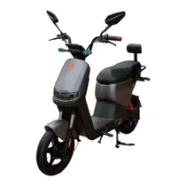 Moto Eletrica Foston X13 Ex Max Gray