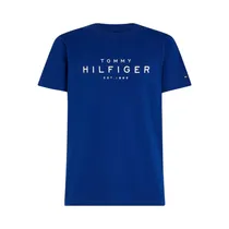Camiseta Tommy Hilfiger MW0MW37448 D03