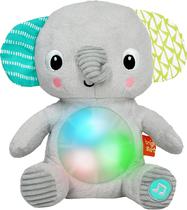 Pelucia Musical com Luz Bright Starts Hug-A-Bye Baby 12498