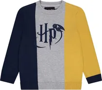 Pulôver Orchestra Harry Potter Hgamoq-GRM - Masculino