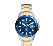 Fosil Reloj FS6034 Silver/Gold