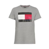 Camiseta Tommy Hilfiger MW0MW31696 P01