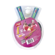 DHS Type I-Set T.T (2 Long-Handle Bats &Amp; 1 Ball)