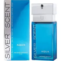 J.B Silver Scent Aqua Mas Edp 100ML