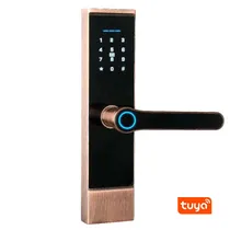 Fechadura Digital S808 Wifi Tuya/USB/Cartão/Chave Rose Gold