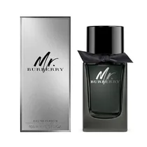 Burberry Perfume MR Burberry Blush Eau de Parfum 100ML