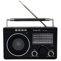 Radio Ecopower EP-F100 Rec/USB/TF/BLT