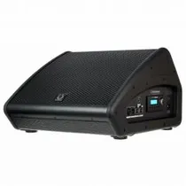 Turbosound TFX122M-An Monitor