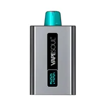 Vapesoul 12000 Puffs Fresh Mint