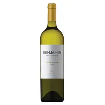 Vinho Benjamin Nieto Senetiner Chardonnay 750ML