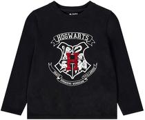 Camiseta Manga Longa Orchestra HGANF2-Noi Harry Potter - Masculina