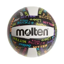 Pelota de Volley Molten MS500-VBP N°5