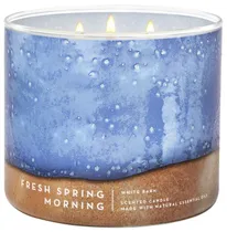 Vela Aromática Bath & Body Works Fresh Spring Morning - 411G