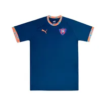Remera Puma 658484CV01 Training Jersey