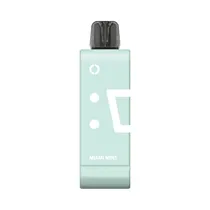 Pod System Elfbar Ew 9000 Miami Mint