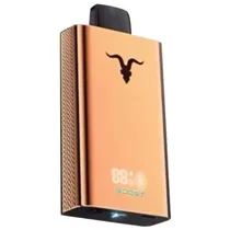 Ignite V120 Rose Gold Straw Banana