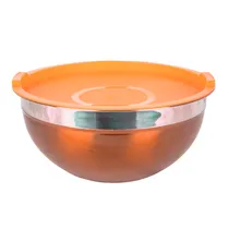 Bowl Aço Inox Fundo Premium 22CM Colorido