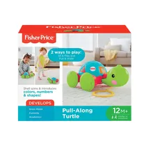 Juguete Tortuga de Aprendizaje Fisher Price Y8652