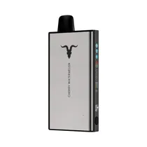 Vaper Descartável Ignite V400 Icy Cherry Watermelon