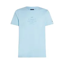 Camiseta Tommy Hilfiger MW0MW36496 C1Z