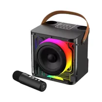 Speaker Havit SK822 Con Micrófono Negro