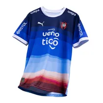 Remera CERRO25 Third Shirt 770553CV01