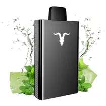 Ignite V50 Black Edition Icy Mint