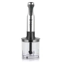 Mixer Raf R.3003 5 Em 1 50 60HZ 220V 600W
