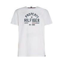 Camiseta Tommy Hilfiger MW0MW32641 YBH