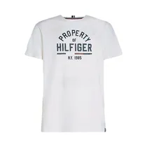Camiseta Tommy Hilfiger MW0MW32641 YBH