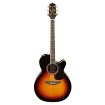  Takamine GN...