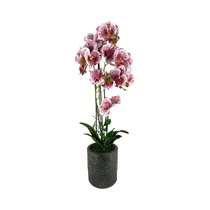 Orquídea Artificial En Maceta Concepts 592-470047 72 CM