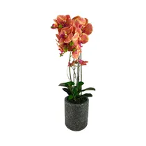 Orquídea Artificial En Maceta Concepts 592-470048 72 CM
